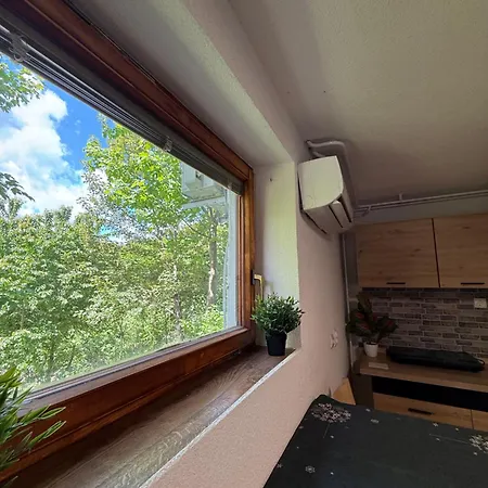 Piece Of Heaven Apartment *